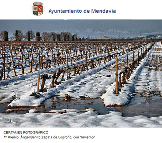 Ángel Benito consigue el 1º premio en el XX Certamen de Fotografía de Mendavia